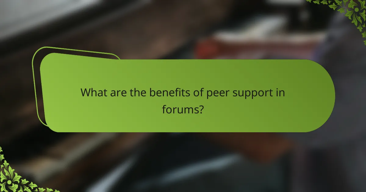What are the benefits of peer support in forums?
